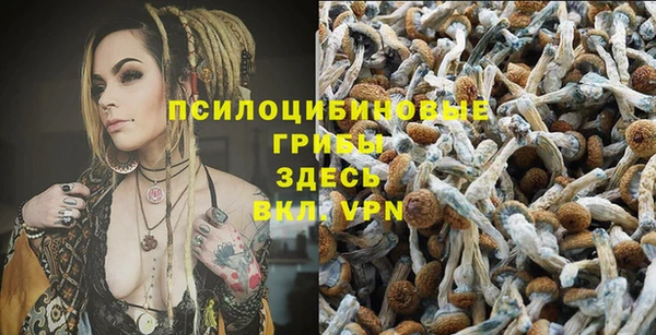 дмт Бугульма