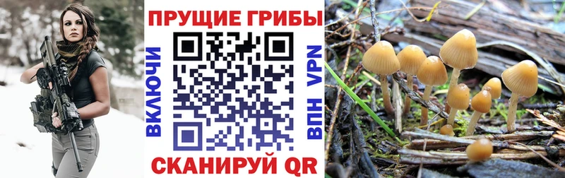 Галлюциногенные грибы Magic Shrooms Купить Североуральск